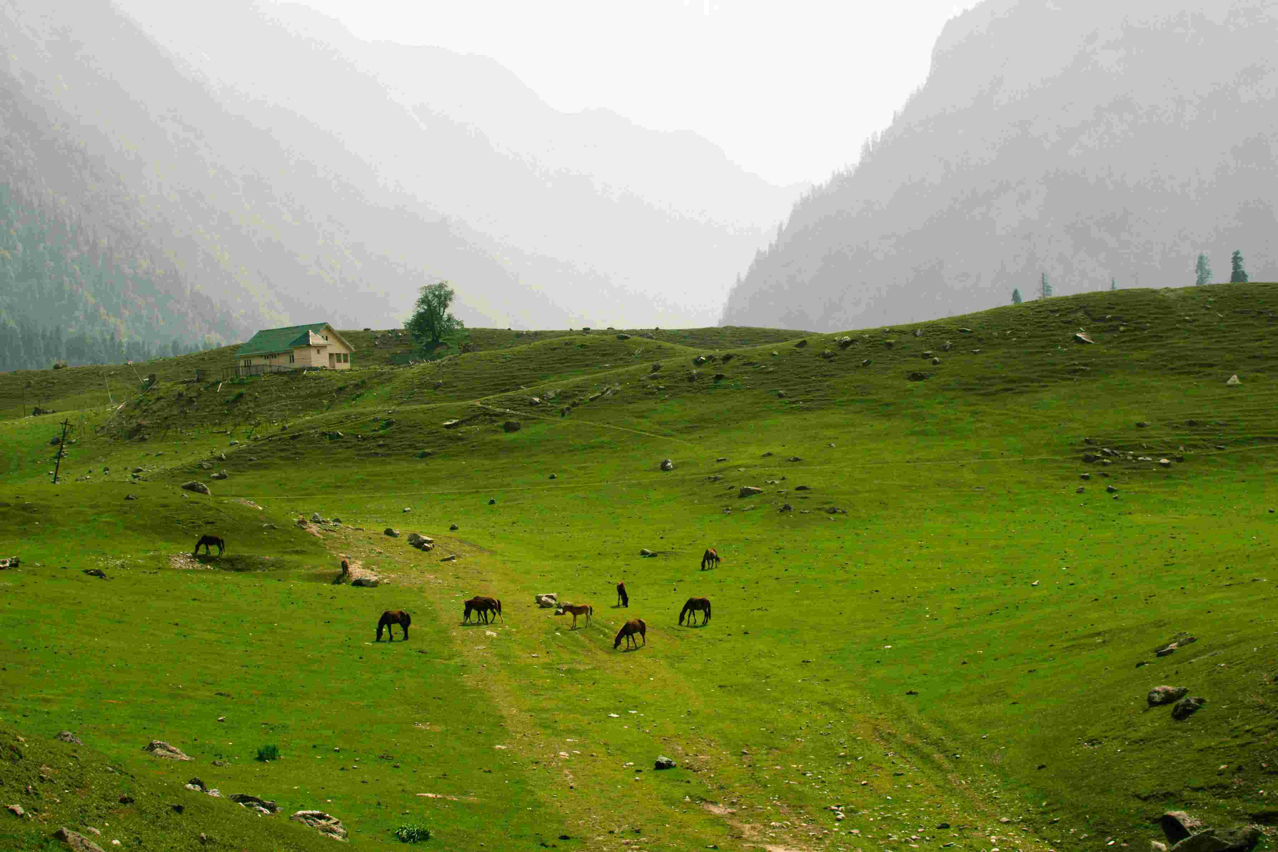 Sonamarg Kashmir